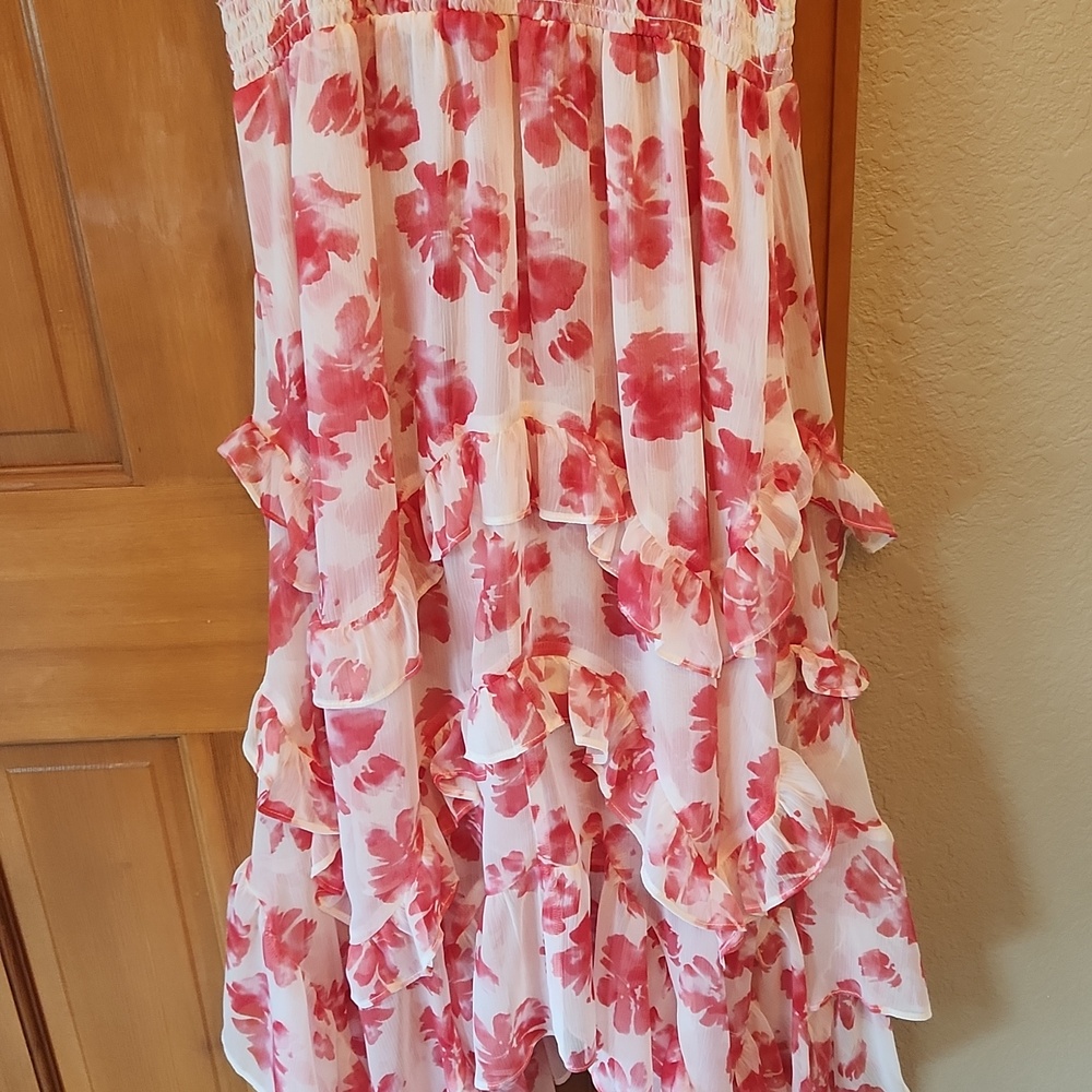 Misa Los Angeles Pink and Red Floral Asymmetrical Ruffle Dress - Picture 7 of 8